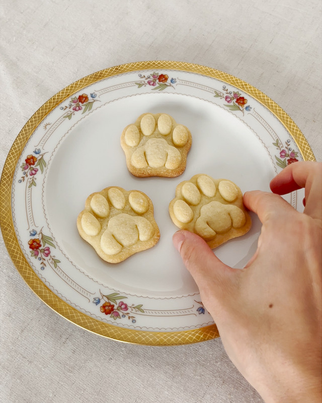 Realistic Kitty Paw Cookie Cutter cat kitten treats toe beans pads animal rescue gallery