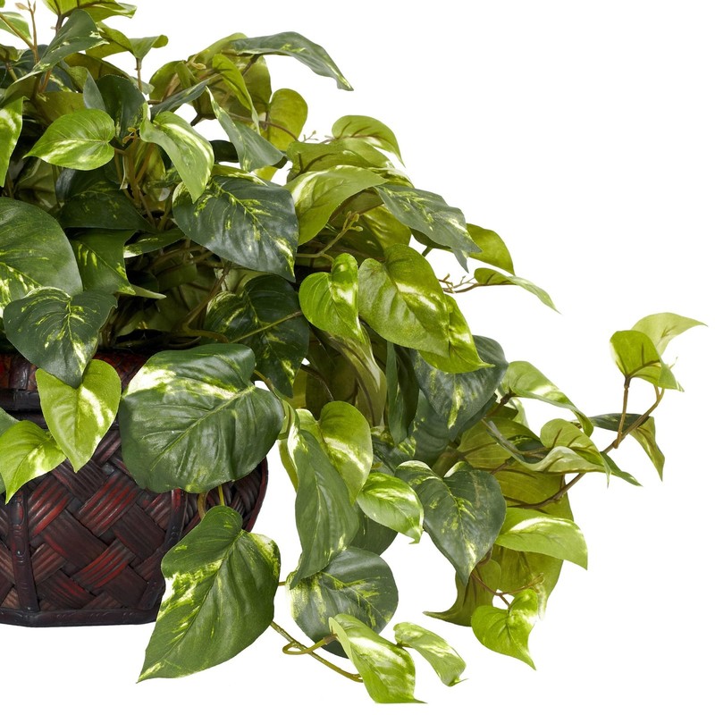Nearly Natural Pothos Decorative Vase Artificial Plant 6681 gallery