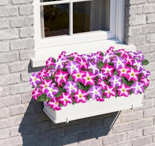 Artificial Outdoor Flowers UV Resistant Faux Petunias Silk Flower Purple Red gallery