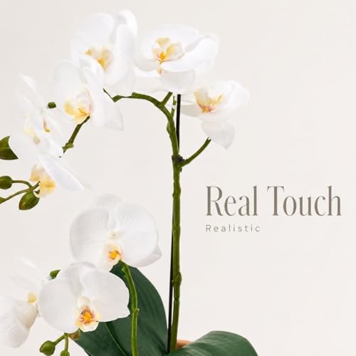 Artificial Real Touch Orchid Plant – 15" Faux Phalaenopsis in Pot 15“ 1 White gallery