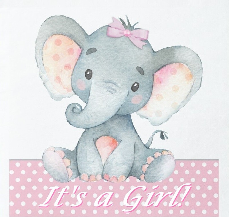 Baby Girl Elephant Baby Shower Edible Cake Topper Decoration gallery