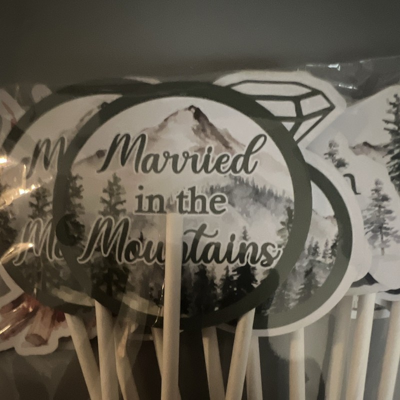 Married in the Mountains Wedding Paper Cupcake Picks Mountain Design Multicolor gallery