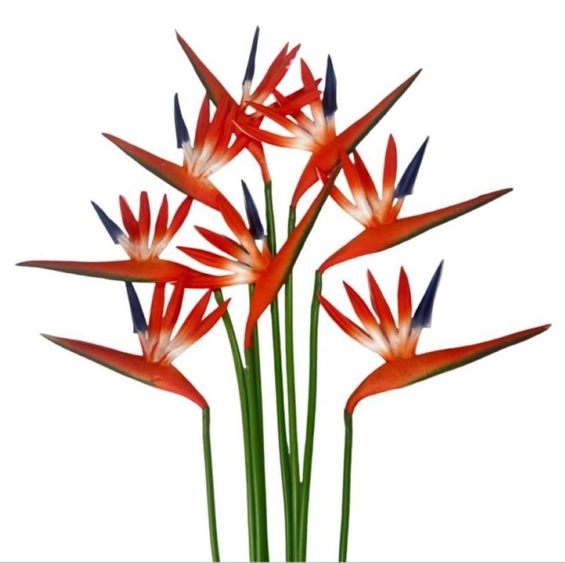8 Pack 21-1/2 Inch Artificial Bird of 21.5 inches (height), Orange Red gallery