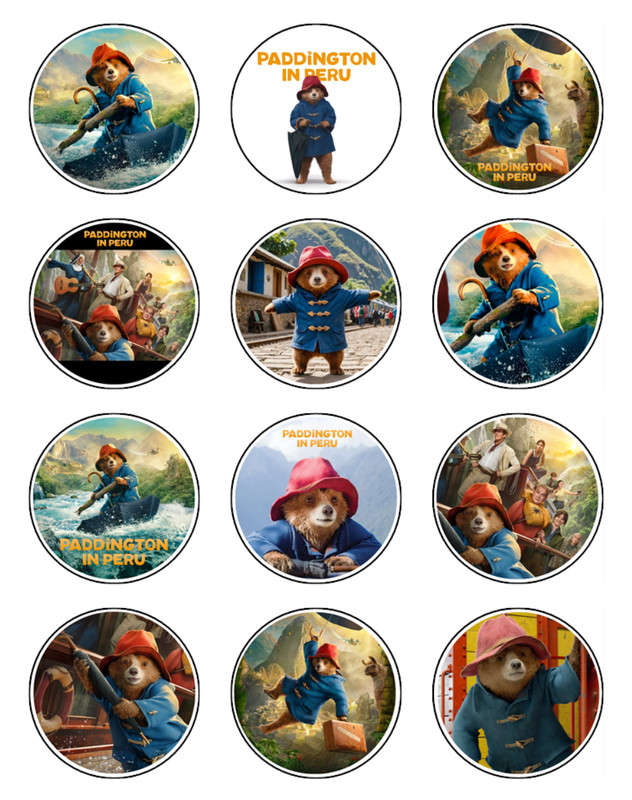 Bear-Inspired Edible Icing Cake & Cupcake Toppers – Peru Adventure Birthday gallery