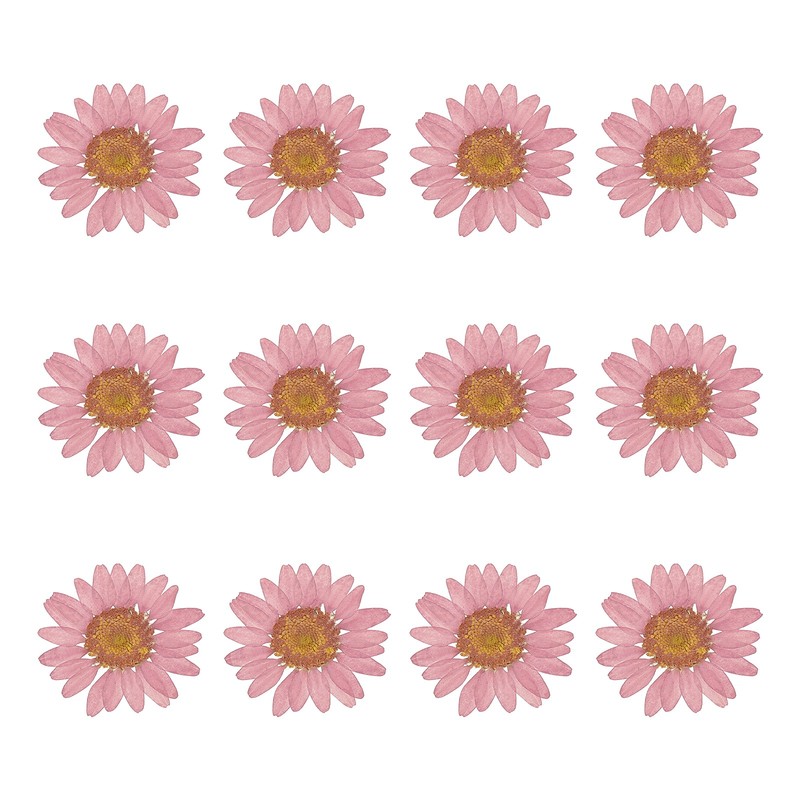 12 Pieces Dried Pressed Flowers, Chrysanthemum for Nail Art, Purple Red