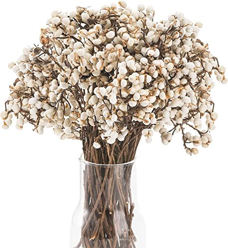 250G Tallow Berries Dried, Holly Tallow Berries, Dried Plants Floral Decor,