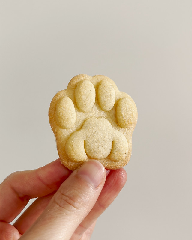 Realistic Kitty Paw Cookie Cutter cat kitten treats toe beans pads animal rescue gallery