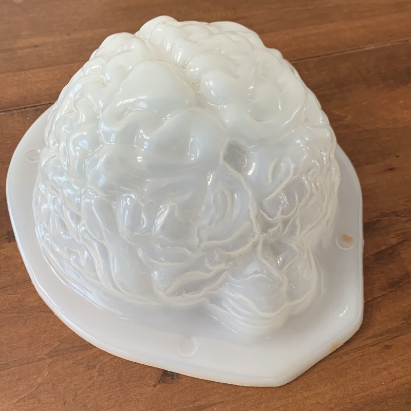 Unique Brain Cake Jello Candy Mold Plastic Head Neuroscience Biology Horror 9″