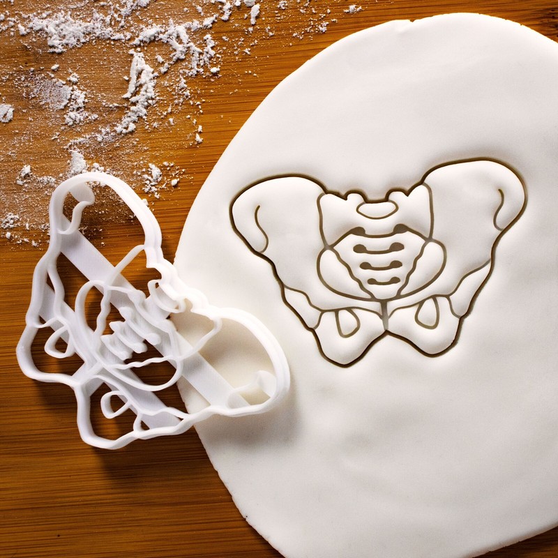 Female Pelvis Cookie Cutter – hip bone pelvic skeleton anatomy xray O&G doctor