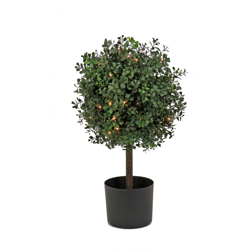 National Tree Company 2 Ft Prelit Artificial Boxwood Single Ball Topiary 50