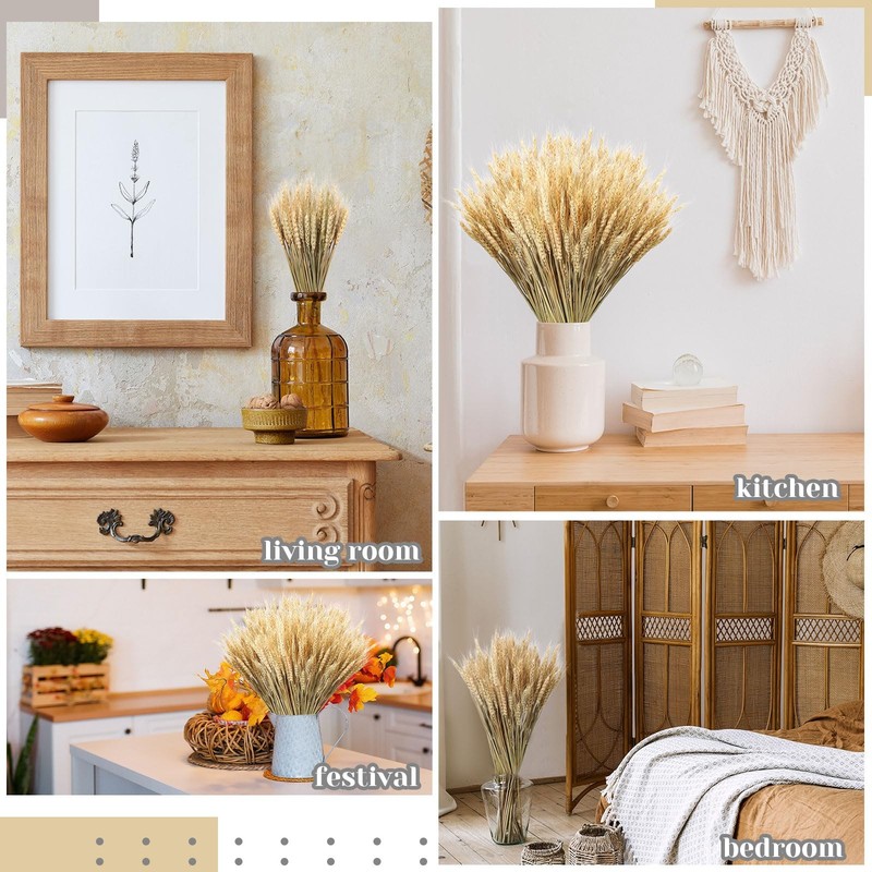 Geosar 1600 Stems Dried Wheat Stalks For Decor Natural Wheat Grass Sheaves gallery