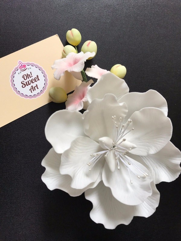 ROSE PETAL FLOWER SET X 3 CUTTER fondant Fondant Cake cutters sugar flowers