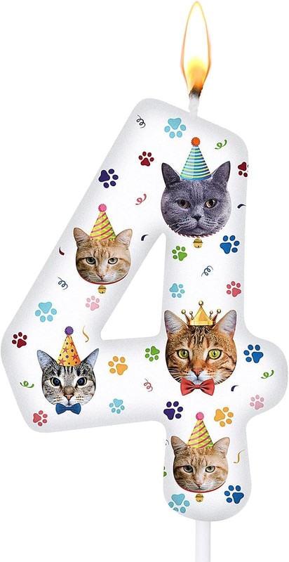 Cat Birthday Number Candles Cat Paw Print Themed Birthday Candles Paw Print