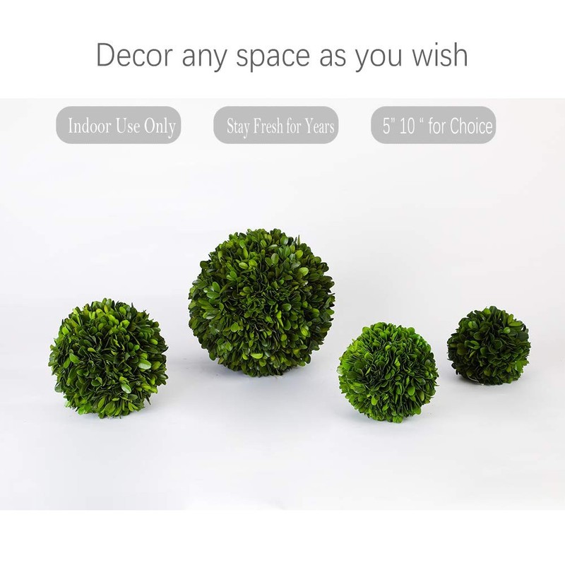 Boxwood World Real Boxwood Decorative Ball Large 10 Inches For Wedding Home gallery