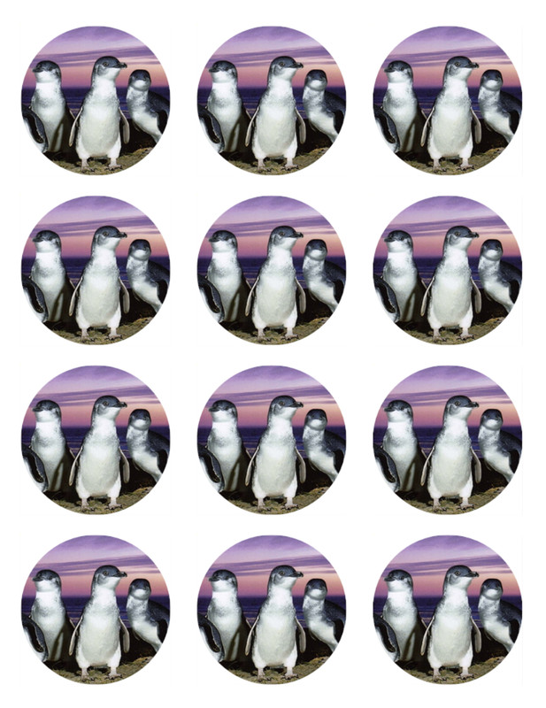 Penguin Cake Topper Edible Icing Birthday Cake Sea Animal Decorations (3 Sizes) gallery