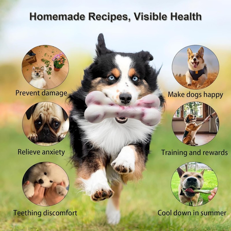 Big Bone Shape Dog Treat Molds 2 Pack, DIY Flavors for All Size Dogs. Food Safe gallery
