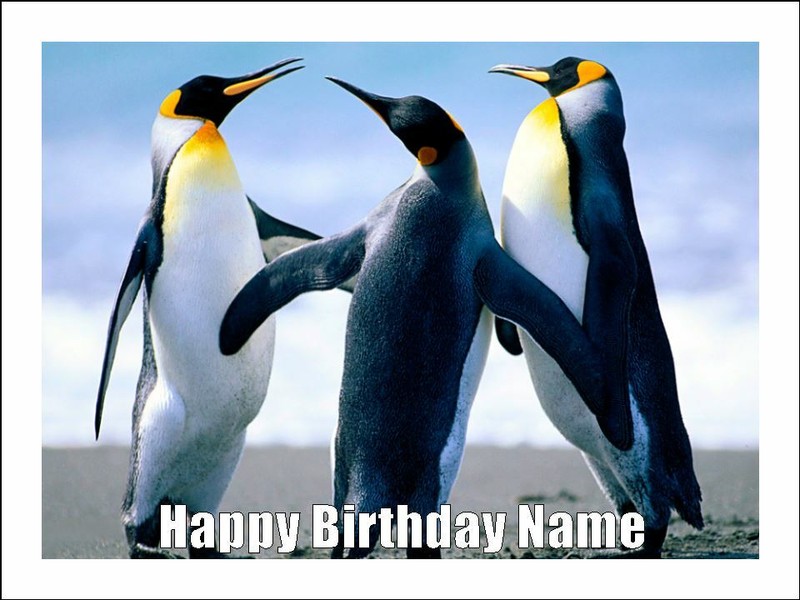 Penguins Cake Toppers Edible Icing Cake Sea Animal Decorations (1 Designs)