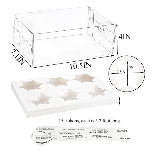 15 Pack Clear Cupcake Boxes, 6 Count Cupcake Containers with Gift Ribbon, gallery