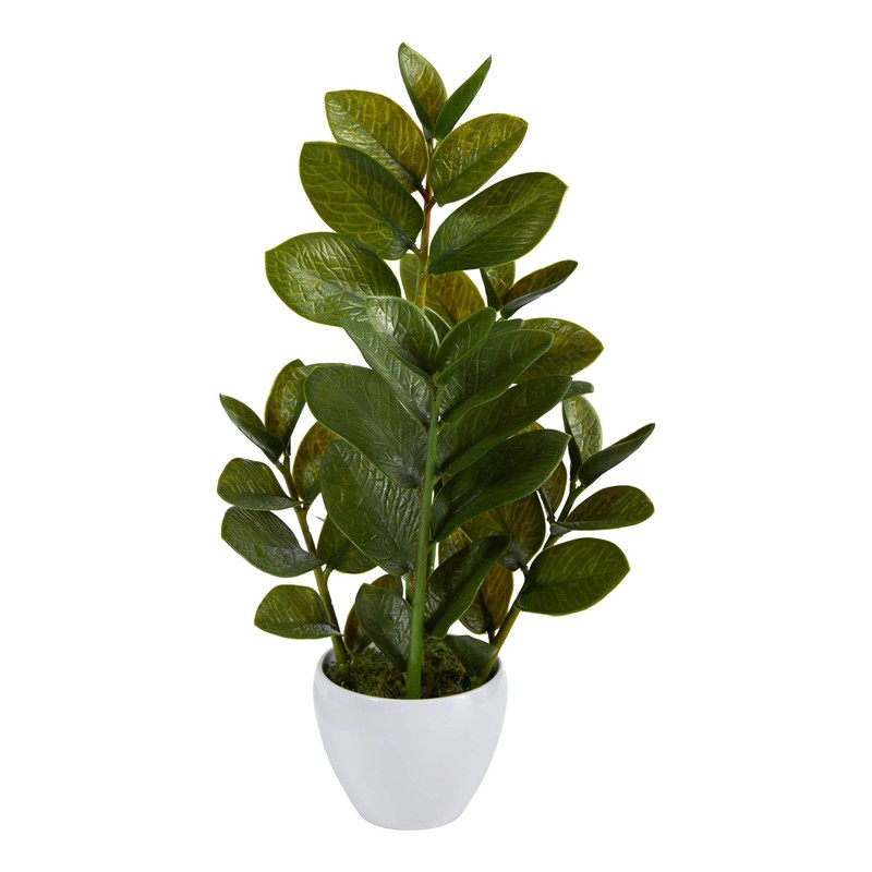 Nearly Natural 22In. Zamioculcas Artificial Plant In White Planter P1671