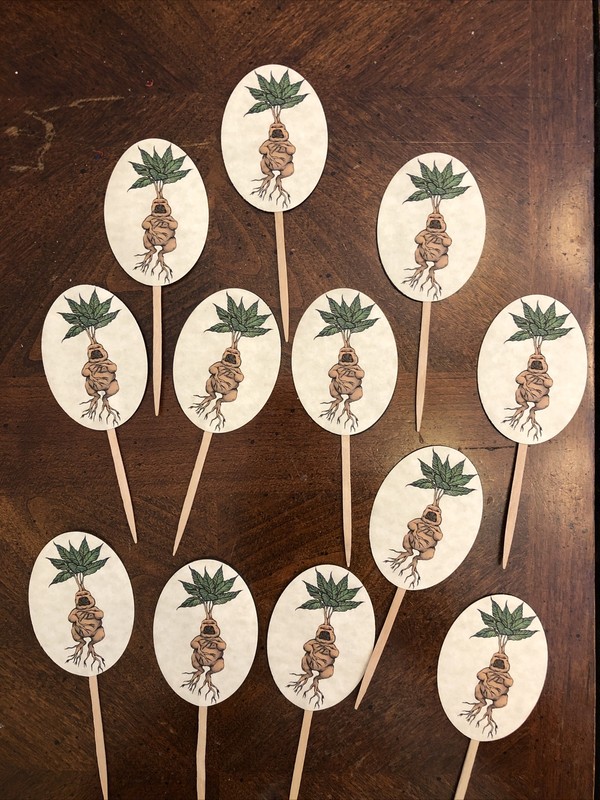 Harry Potter Mandrake 12 Cupcake Wrappers Toppers Muffin Birthday Party Fiesta gallery