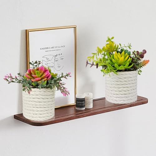 Set of 2 Fake Succulents Plants Artificial Small Succulent Plants Potted Green gallery