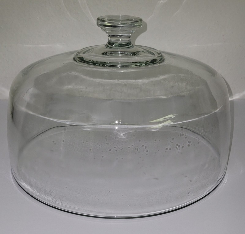Replacement Cake Dome Clear Glass 10 3/8″ Diameter