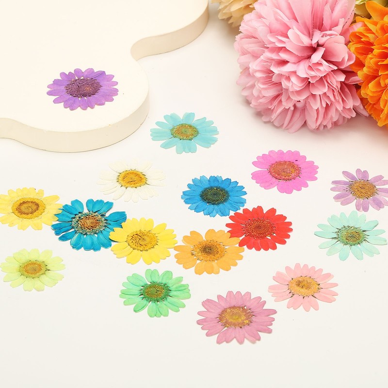 12Pcs Dried Pressed Flowers, Chrysanthemum Flowers for Nail Art, Light Yellow gallery