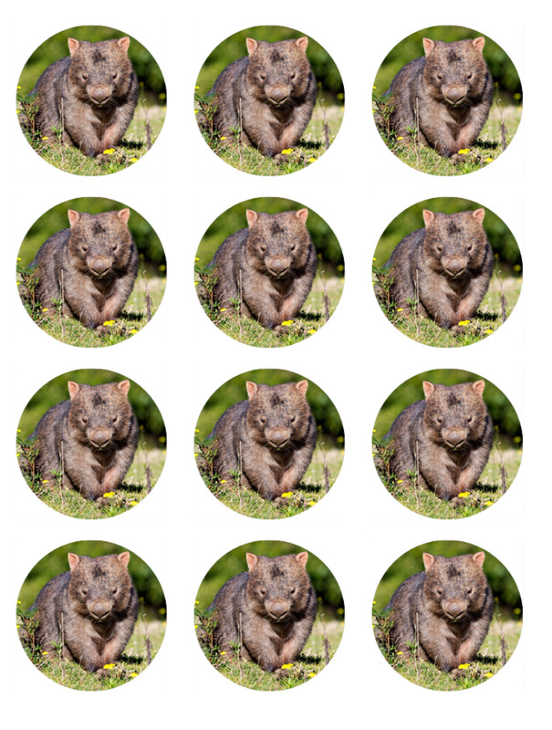 Wombat Cake Topper Edible Icing Australian Animal Cake Decoration (3 Sizes) gallery