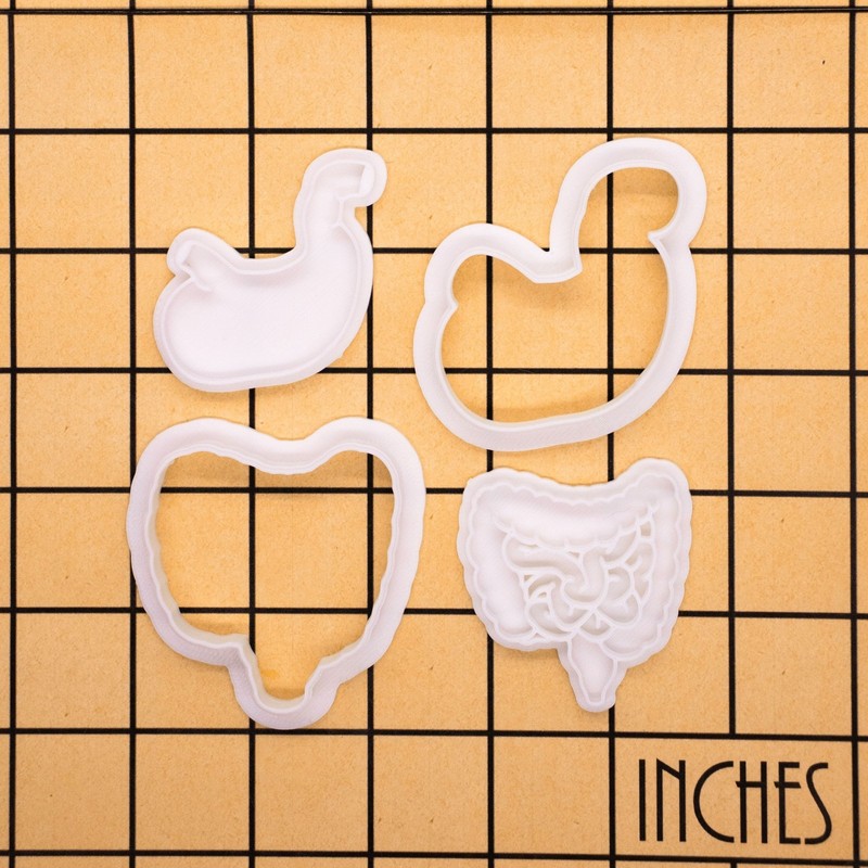 Stomach & Intestines Cookie Cutter + Stamp Set – Anatomy Medical theme Mold gallery