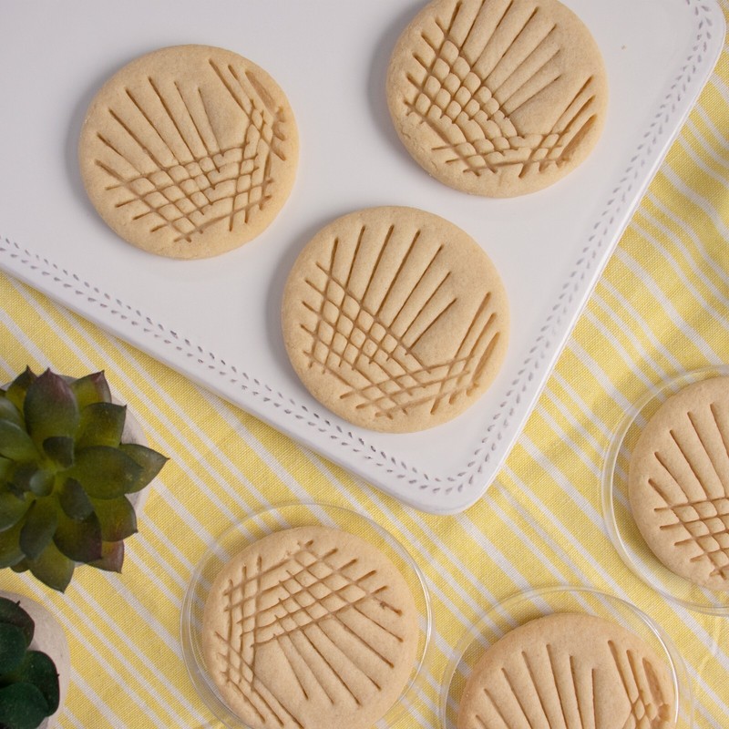 Quadrant Streak Petri Dish Cookie Cutter - cell culture laboratory microbiology gallery