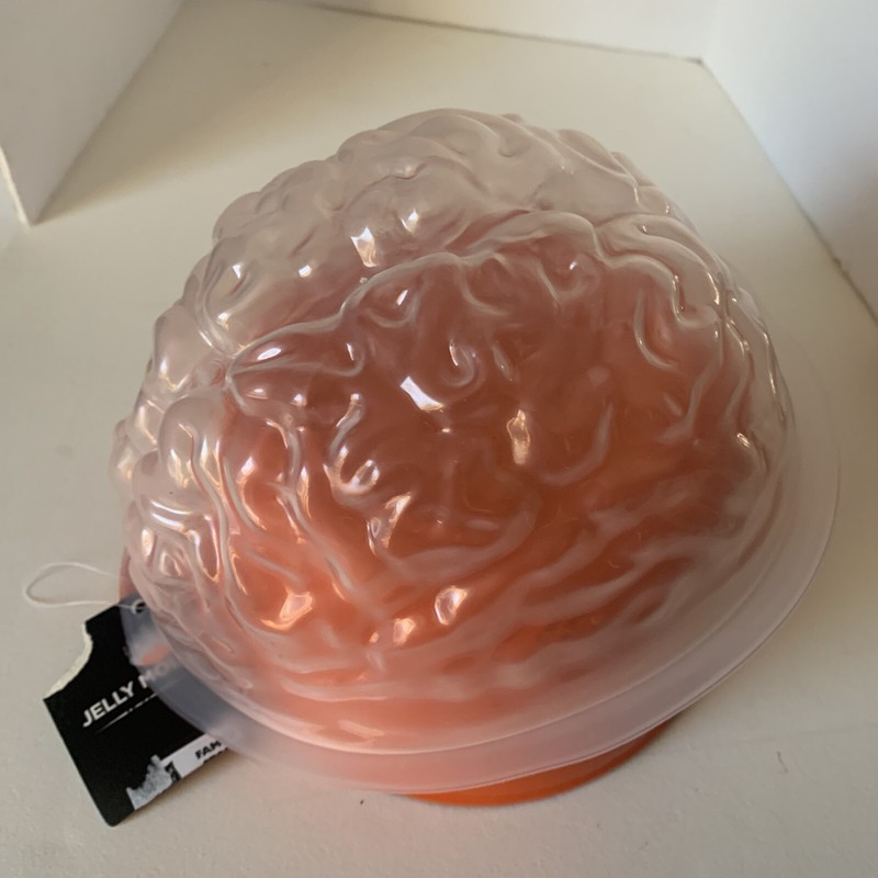 Plastic GELATIN BRAIN Shaped 3D MOLD Jello candy clay Halloween Zombie Science