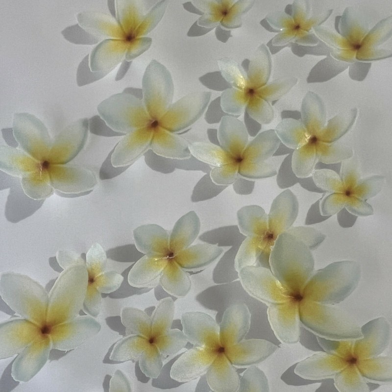 Pre-cut Edible Wafer Yellow Frangipani Flowers