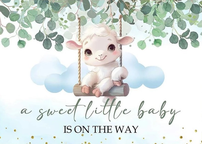 A Sweet Little Baby Boy Lamb Is On the Way Baby Shower Edible Cake Topper