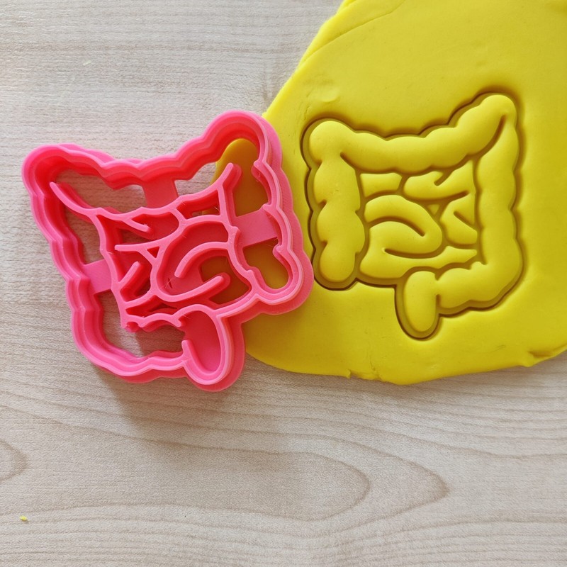 Anatomy Cookie Cutter Set, Medical Student Gift, Halloween Biscuit Stamp Stencil gallery