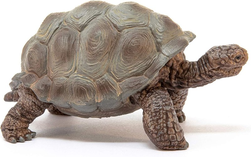alapagos Giant Tortoise Resin mold silicone mold 0-995 gallery