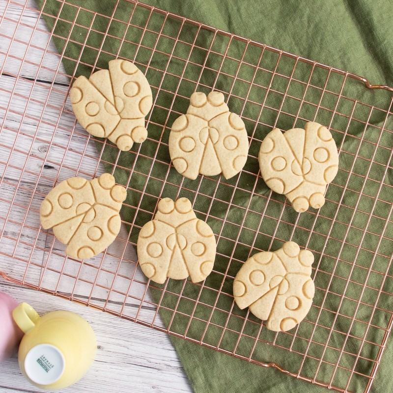 Ladybug Cookie Cutter - Garden party bug insect beetle botanical cute ladybird gallery