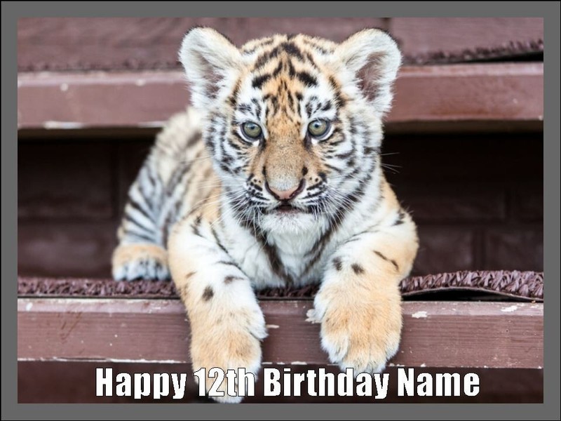 Tiger Cubs Edible Cake Topper Icing Birthday Animal Cake Decorations (2 Sizes)