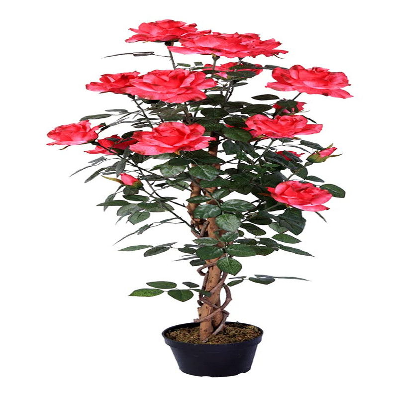 Amerique Gorgeous Unique 4.3 Feet Roses Leaves Artificial Tree Silk Plant Pre