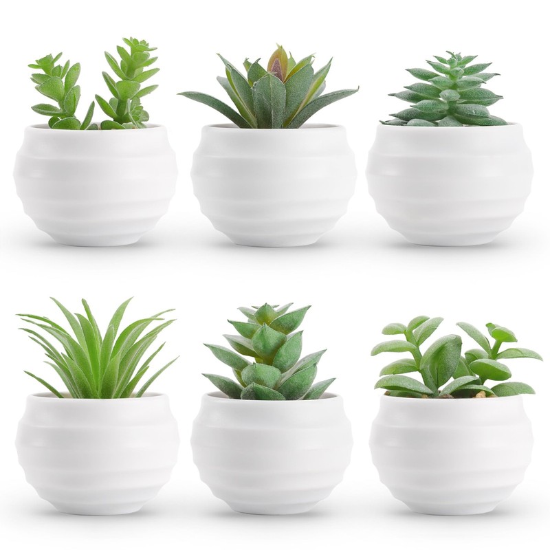 Der Rose Set of 6 Succulents Plants Artificial in Round pot-6 pack, Green