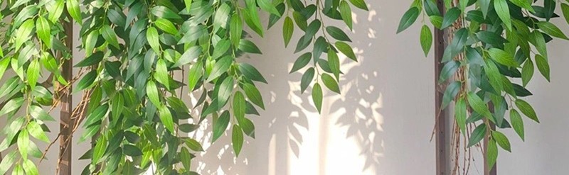 100Pcs Italian Ruscus Greenery Stems 18" Artificial Silk Greenery Leaves gallery