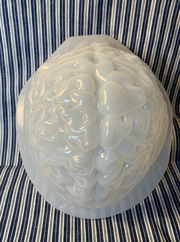 Plastic GELATIN BRAIN Shaped 3D MOLD Jello candy clay Halloween Zombie gallery