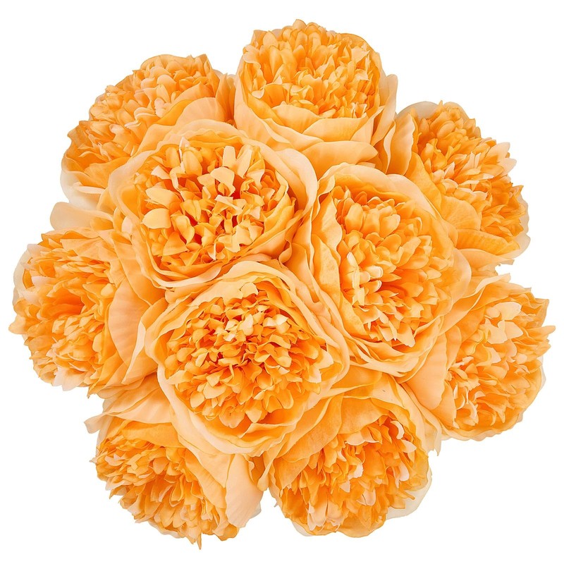 U’Artlines 10pcs Artificial Peony Silk Flowers w/ Stems, Realistic Vintage Look