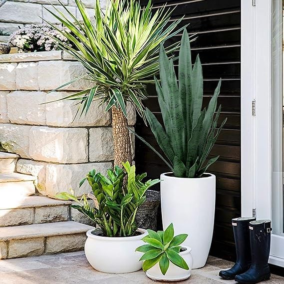 Summer Flower 23In Snake Plant Artificial Leaf Set 21Pcs Faux Sansevieria Plant gallery