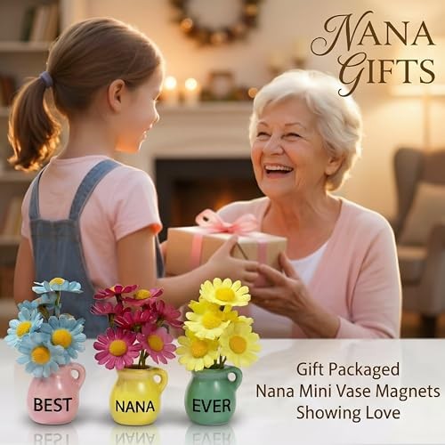 Nana Gifts - Mini Vase Magnets for Fridge, Best Nana Ever 3-Piece Ceramic gallery