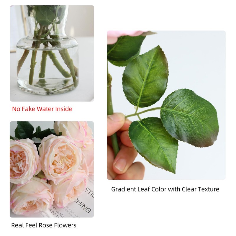 Grtefhu 6Pcs Fake Austin Rose Peonies Flowers Vase Clear Glass Vase Pink Real gallery