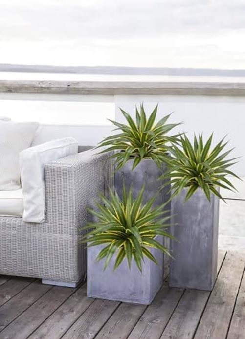 21 Inch Artificial Agave Plants Large Size Fake Agave Plant Stems 50CM gallery
