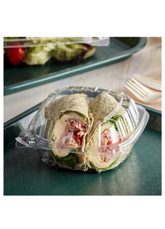 clear hinged lid containers 5 In