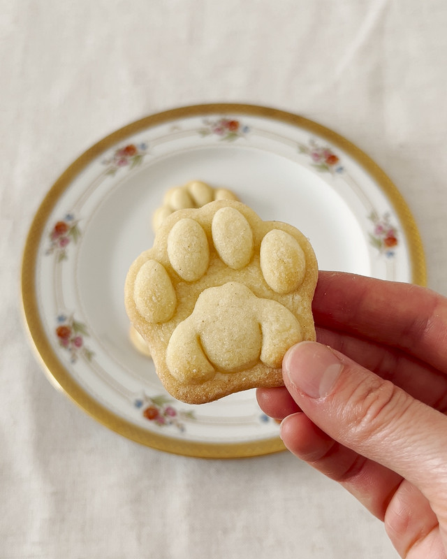 Realistic Kitty Paw Cookie Cutter cat kitten treats toe beans pads animal rescue gallery