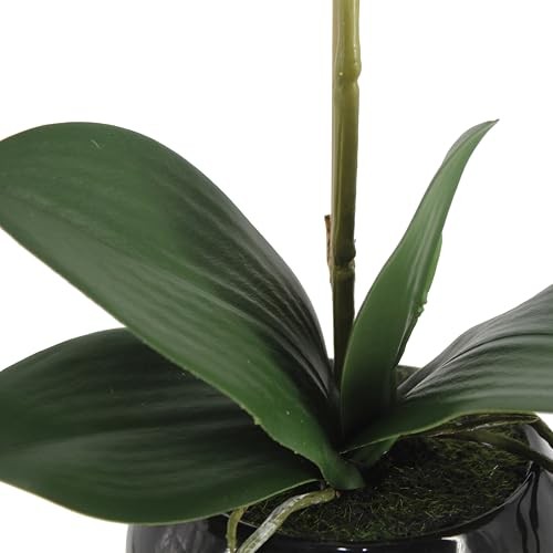 Orchids in Ceramic Pottery,Fake Orchid with Real Touch Stems, Faux 16in White gallery