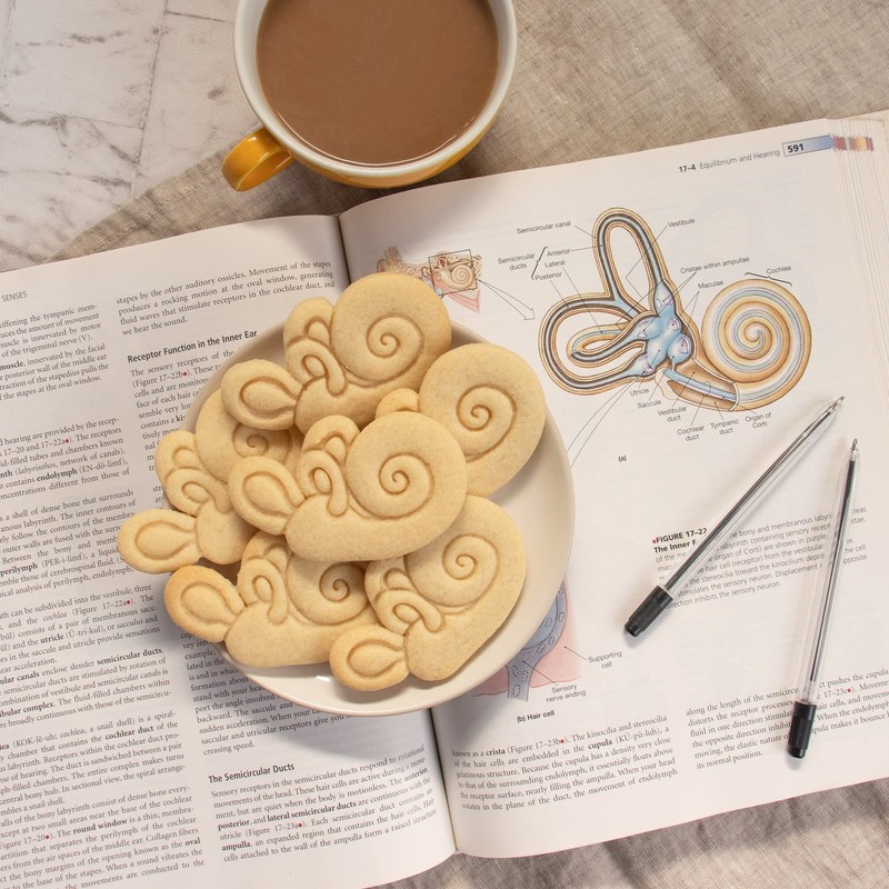 Set of 2 Ear cookie cutters (Designs: Anatomical Human Ear and Cochlea Inner ... gallery